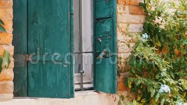 威尼斯，意大利，2017年9月7日：所谓威尼斯或意大利建筑，美丽的老式玻璃窗，绿色
